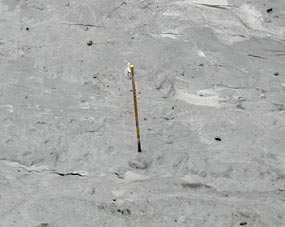 Rastermarkierung